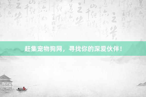 赶集宠物狗网，寻找你的深爱伙伴！