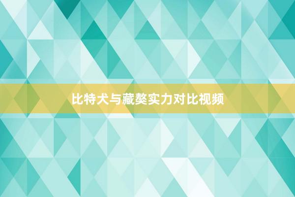 比特犬与藏獒实力对比视频