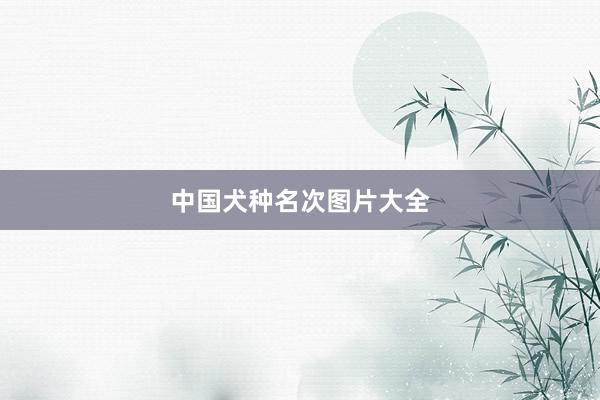 中国犬种名次图片大全