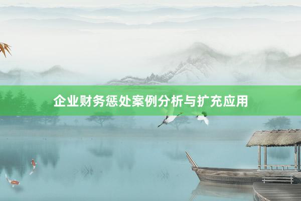 企业财务惩处案例分析与扩充应用
